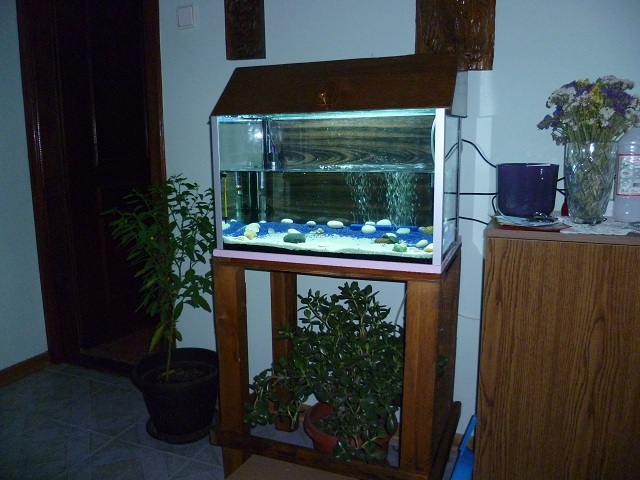 Image Image