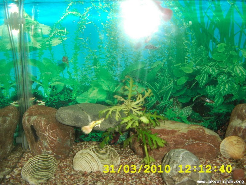 Image Image