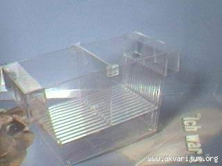 Image Image
