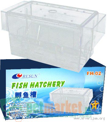 Image Image