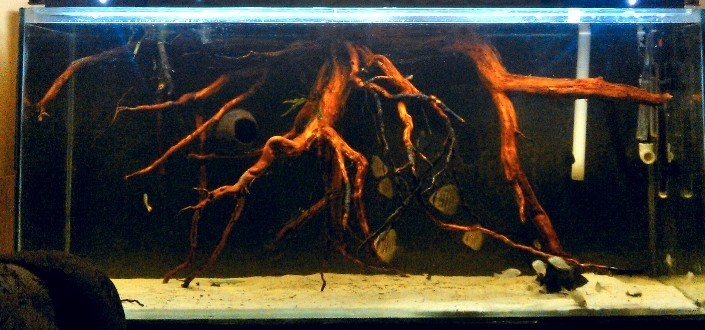 Image Image