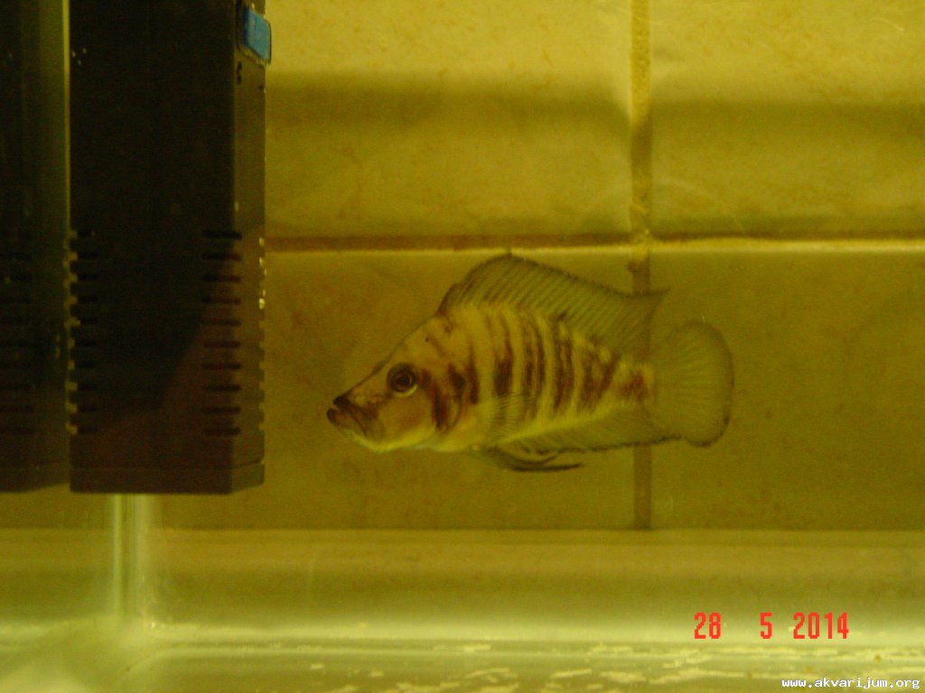 Image Image