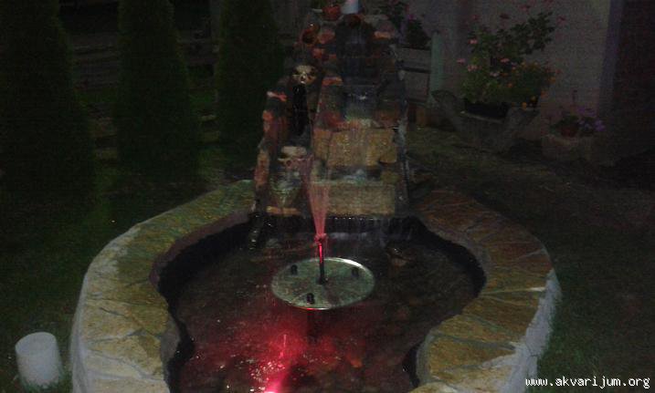Image Image