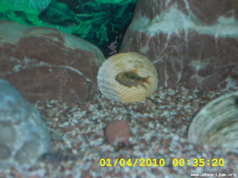 Image Image