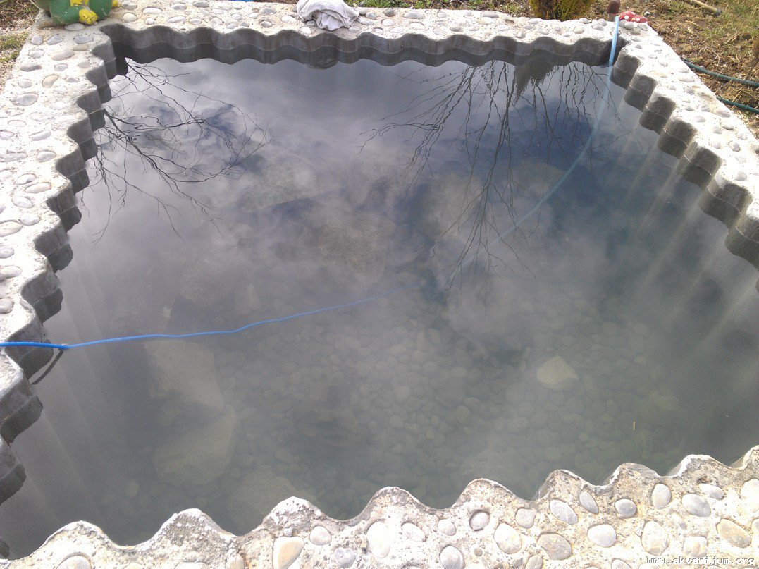 Image Image