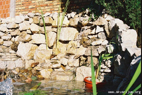 Image Image