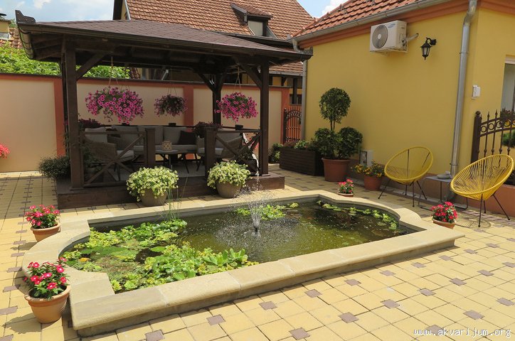 Image Image