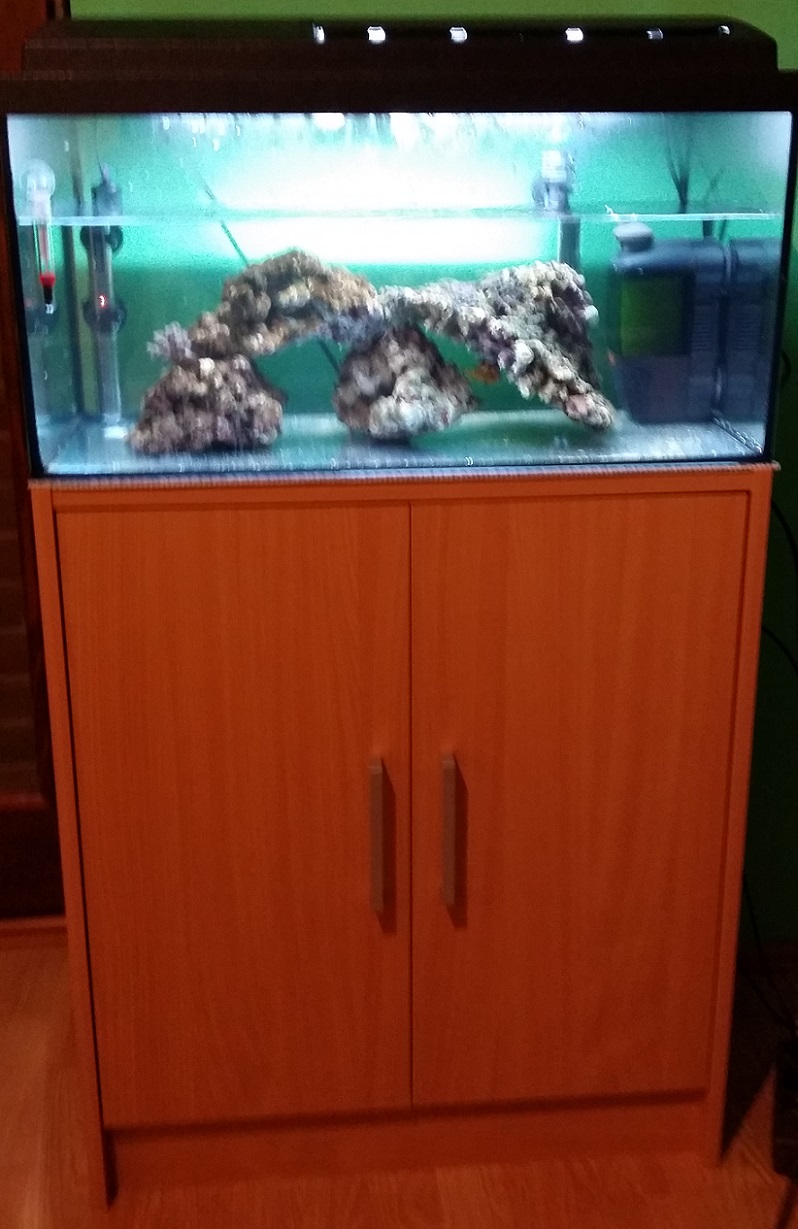Image Image