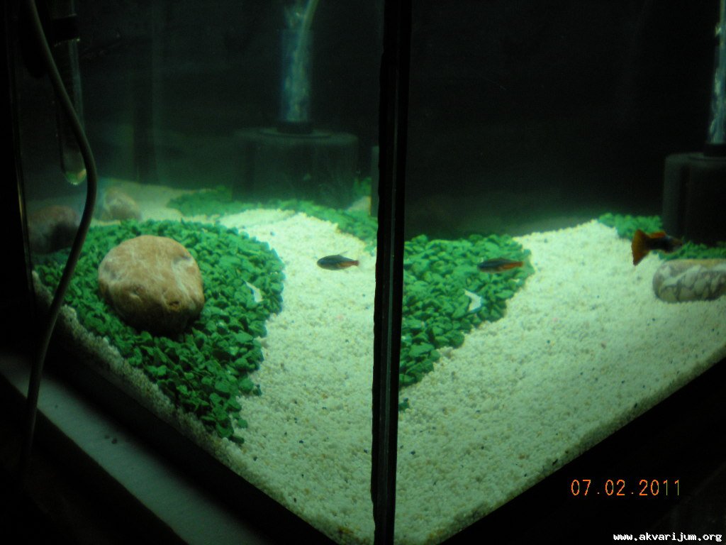 Image Image