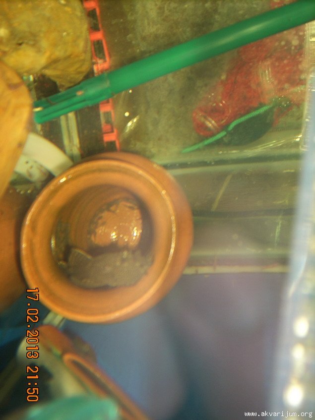 Image Image