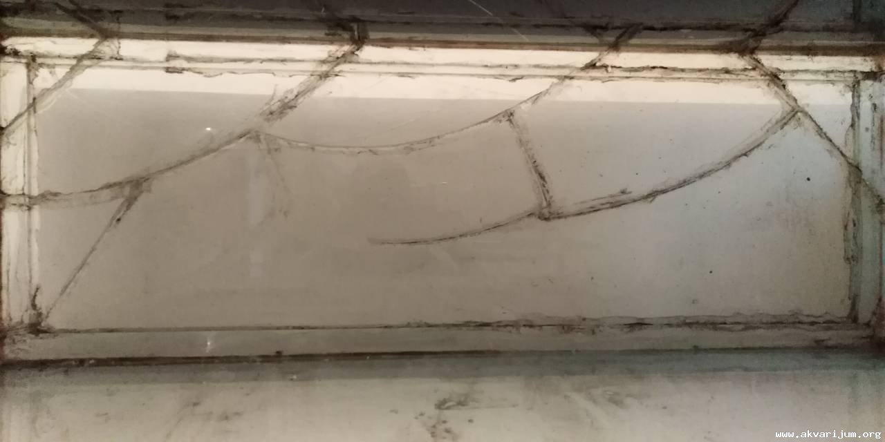 Image Image