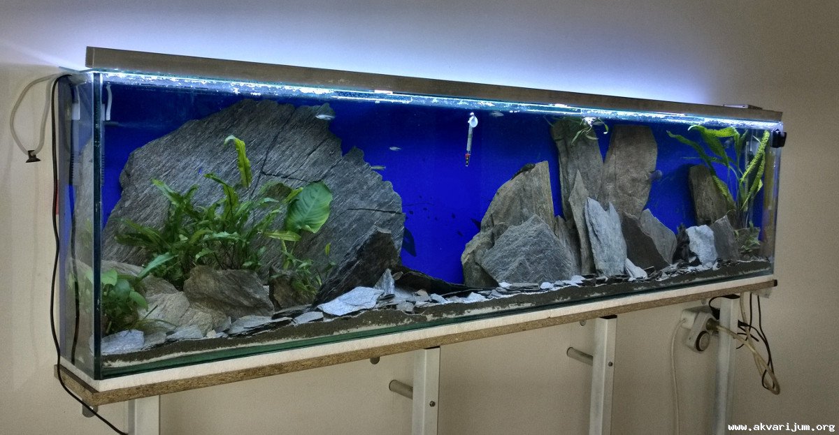 led rasveta