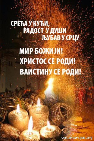 [Слика: _66297015_Badnjak.jpg]