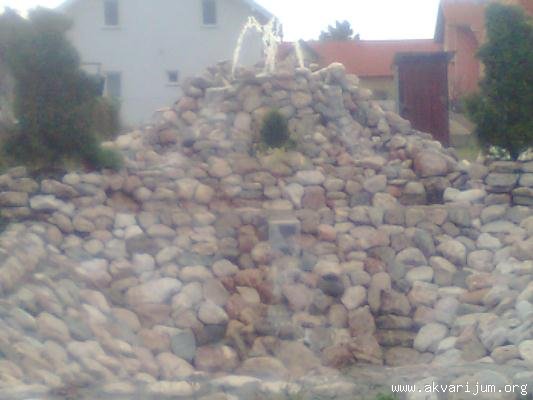 Image Image