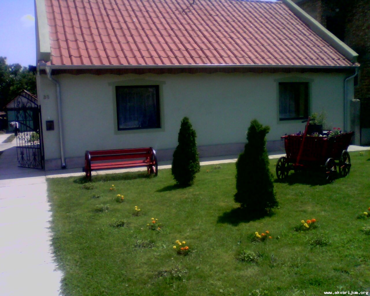 Image Image