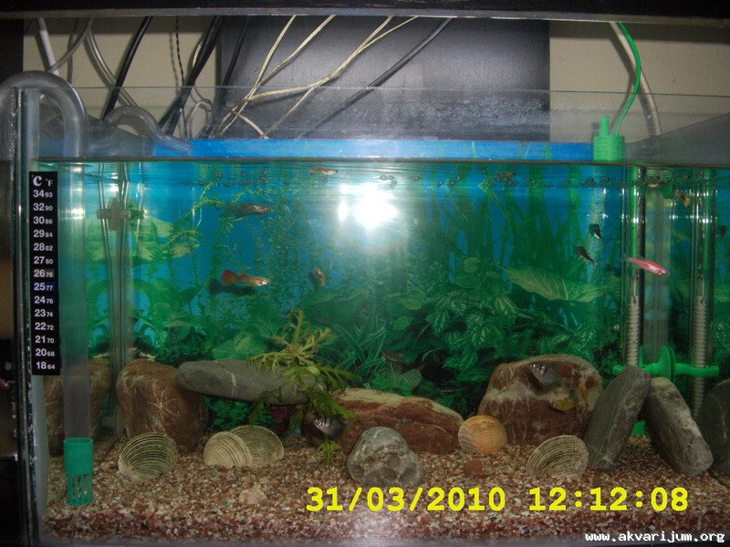 Image Image