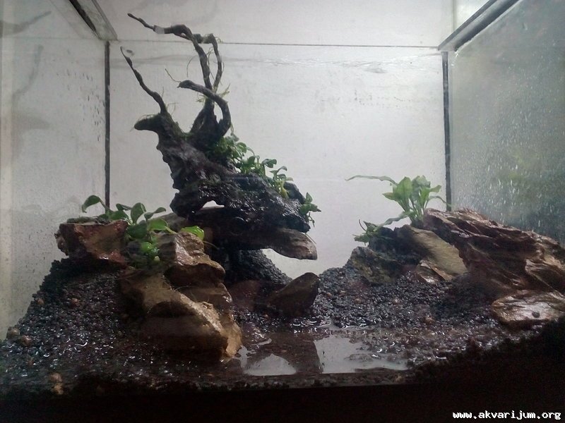 Image Image
