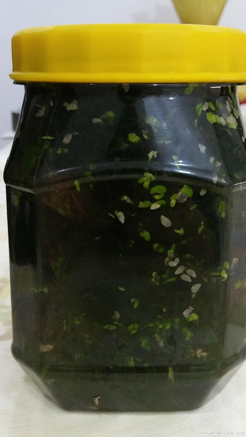 Image Image