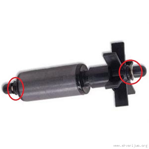 Image Image