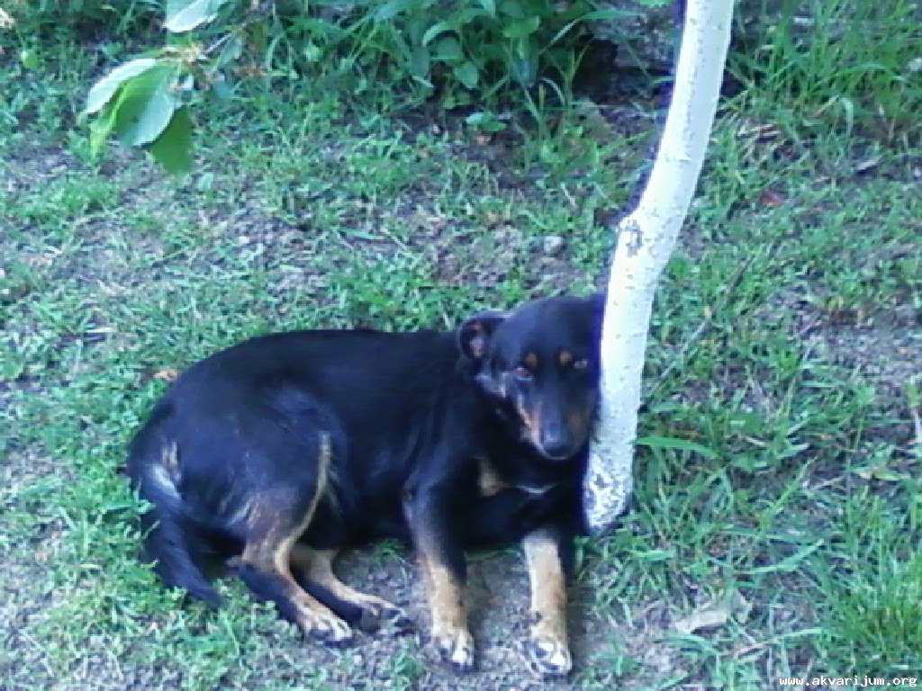 Image Image
