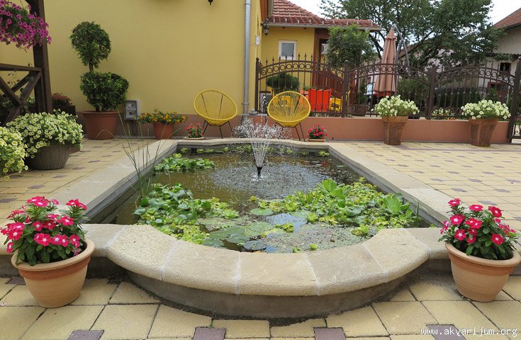 Image Image