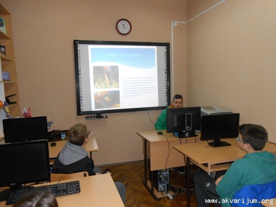 Image Image