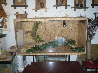 Image Image